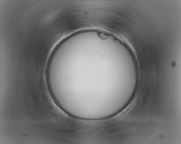 X0000116830797201001291642