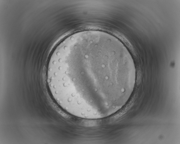 X0000116830798201001291642