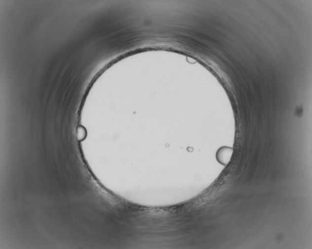 X0000116830799201001291642