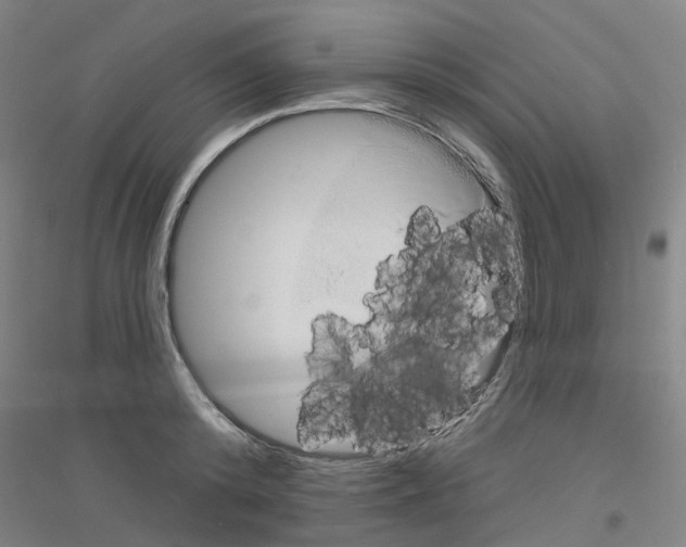 X0000116830800201001291642