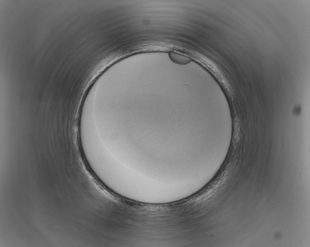 X0000116830802201001291642