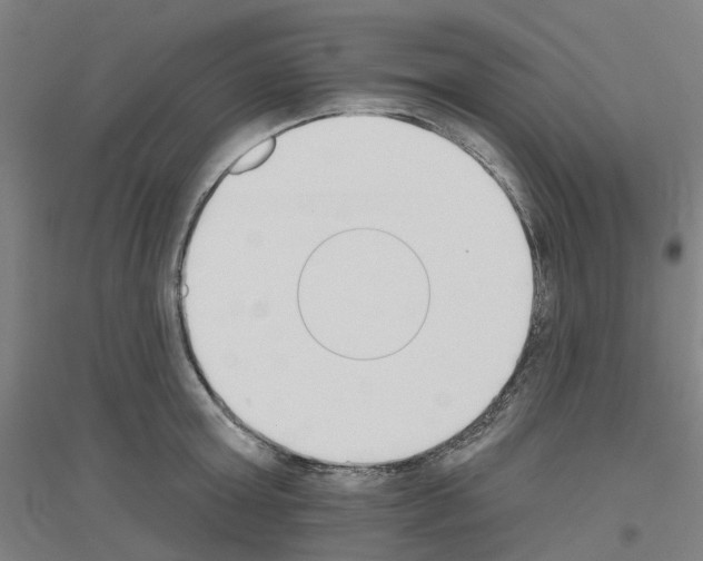 X0000116830803201001291642