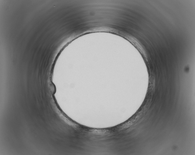 X0000116830805201001291642