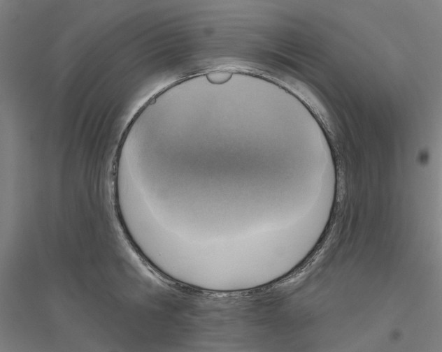 X0000116830806201001291642