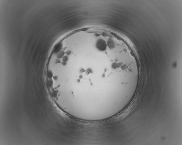 X0000116830807201001291642