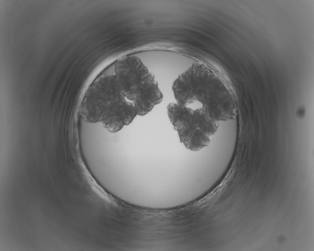 X0000116830808201001291642