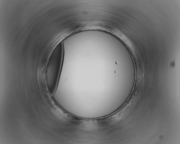 X0000116830809201001291642