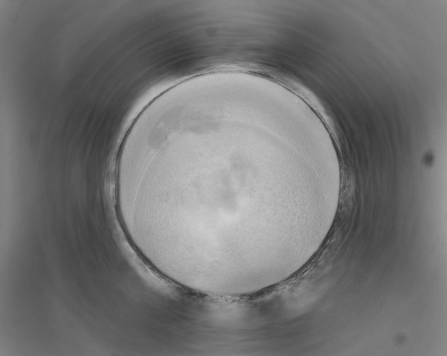 X0000116830811201001291642