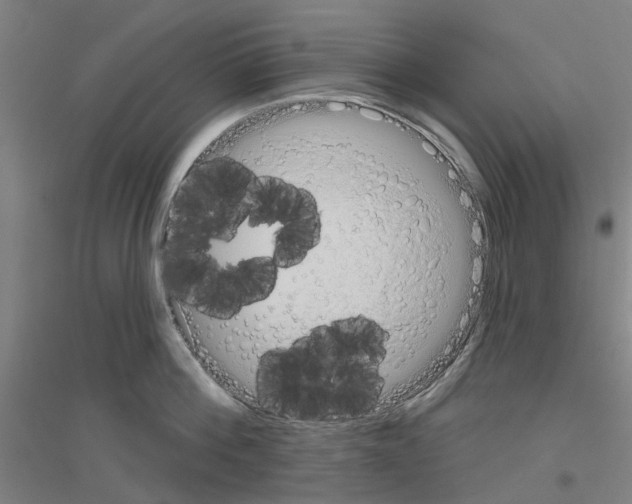 X0000116830812201001291642