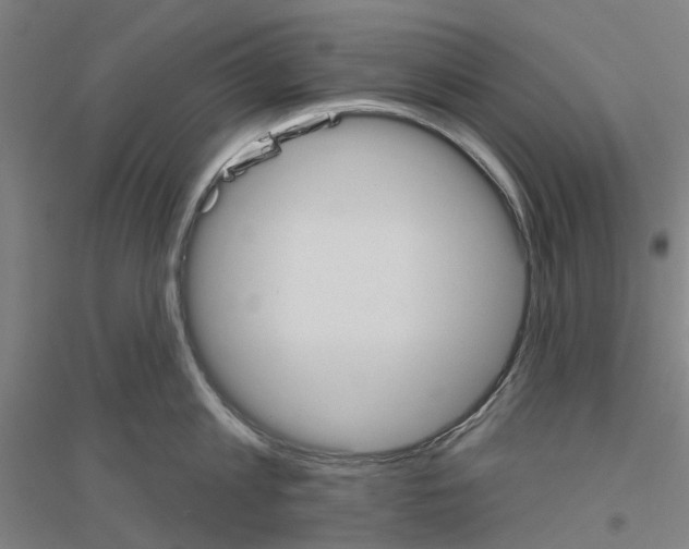 X0000116830813201001291642