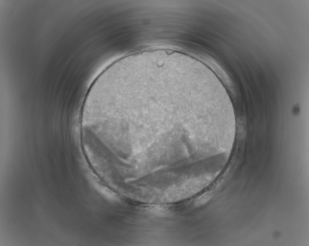 X0000116830814201001291642