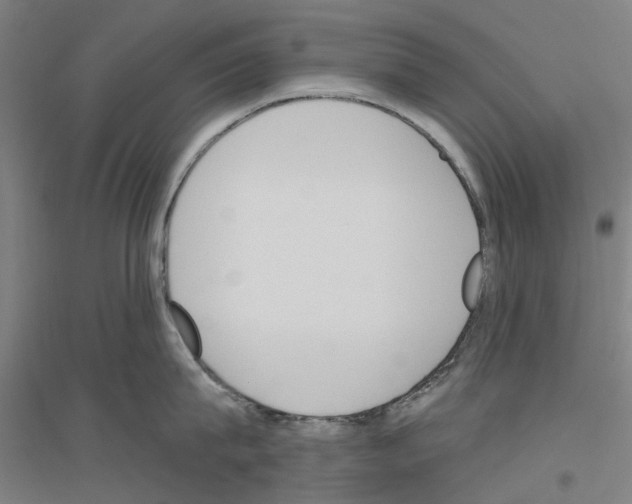 X0000116830815201001291642