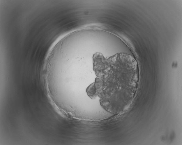 X0000116830816201001291642