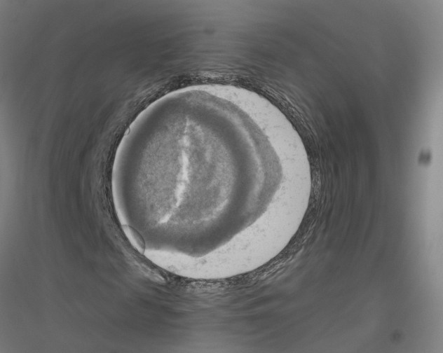 X0000116830817201001291641