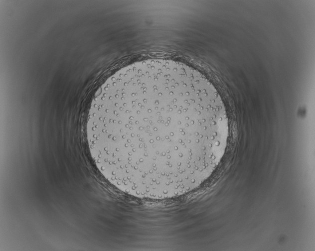 X0000116830818201001291641