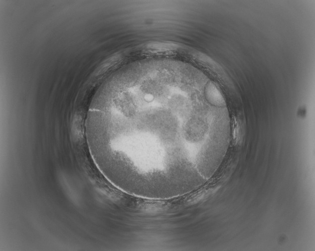 X0000116830819201001291641