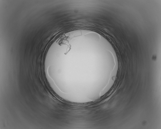 X0000116830820201001291641