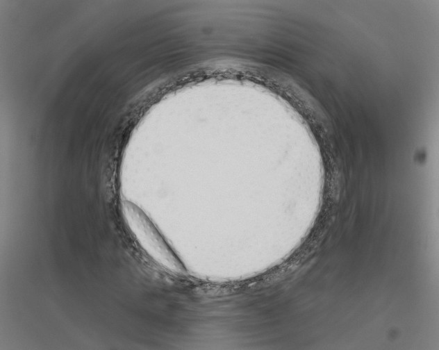 X0000116830821201001291641