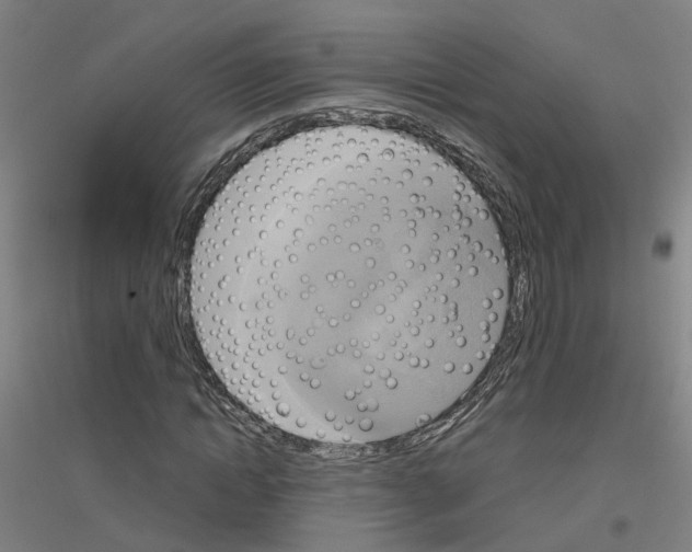 X0000116830822201001291641