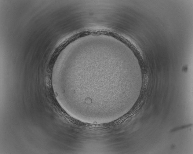 X0000116830823201001291641