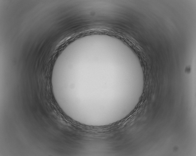 X0000116830824201001291641