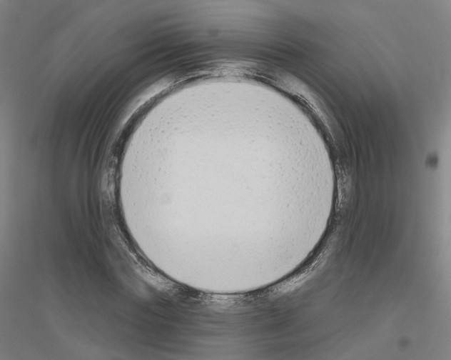 X0000116830827201001291641