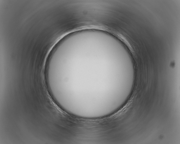 X0000116830828201001291641