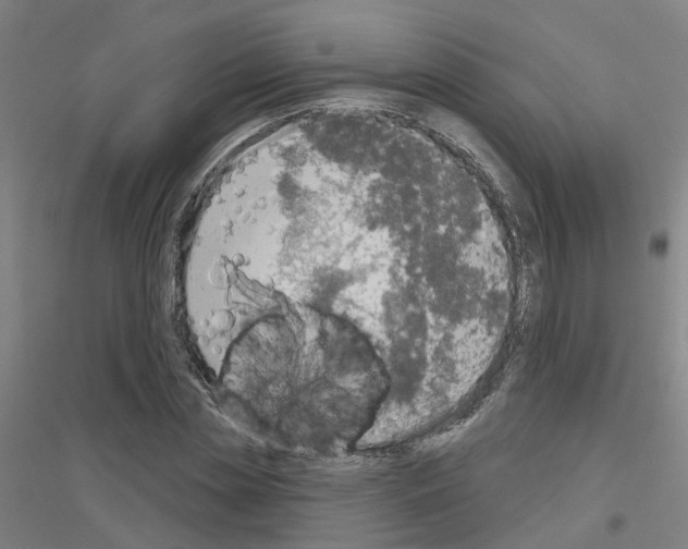 X0000116830829201001291641