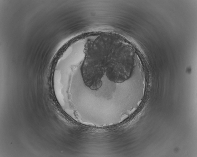 X0000116830830201001291641