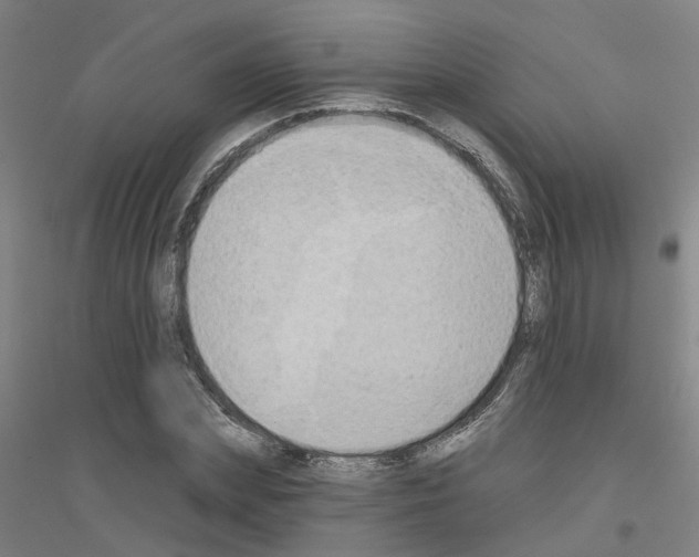 X0000116830831201001291641