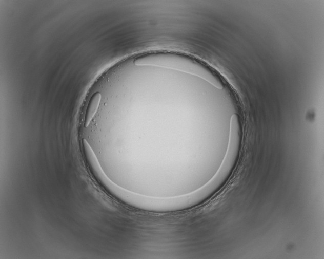 X0000116830832201001291641