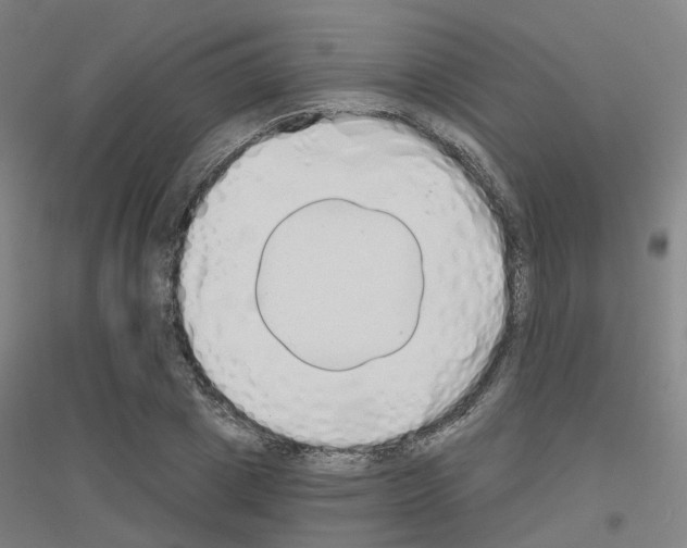 X0000116830833201001291641