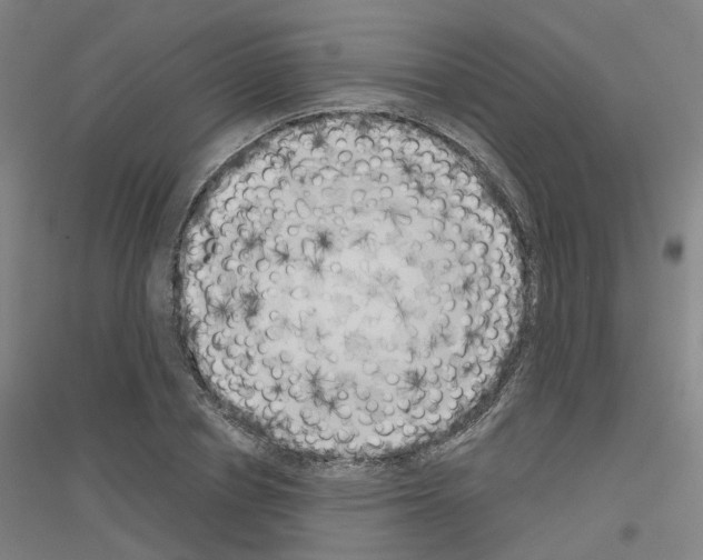 X0000116830834201001291641