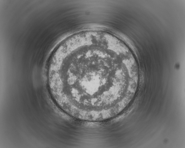 X0000116830835201001291641