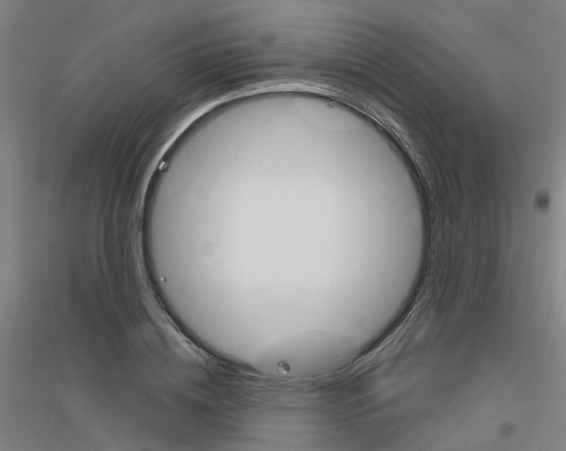 X0000116830836201001291641