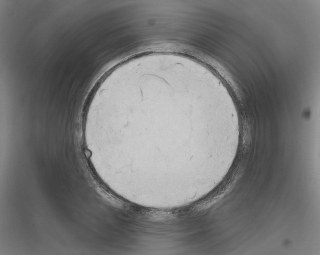 X0000116830837201001291641