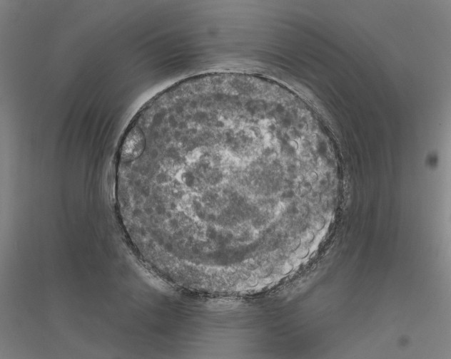 X0000116830838201001291641