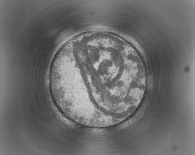 X0000116830839201001291641