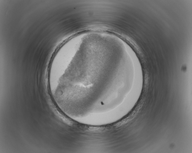 X0000116830840201001291641