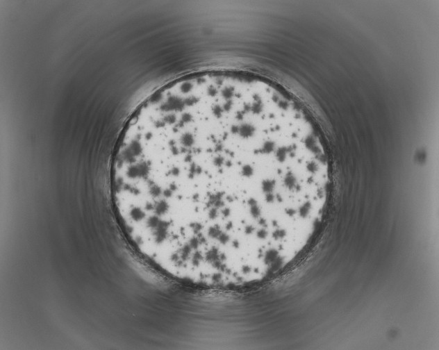 X0000116830842201001291641