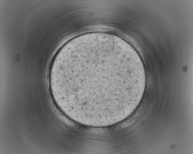 X0000116830843201001291641