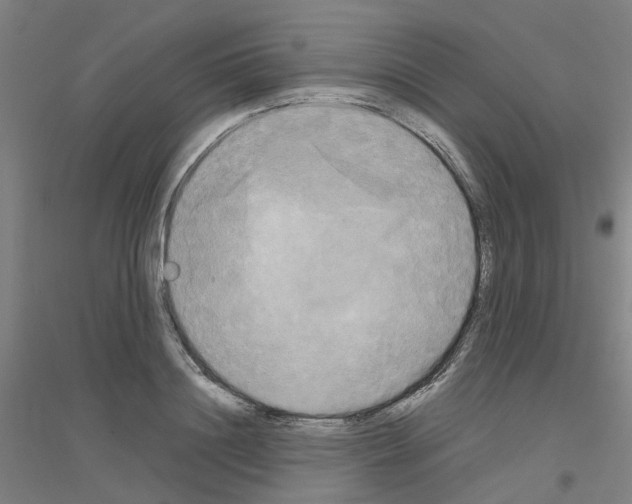 X0000116830844201001291641