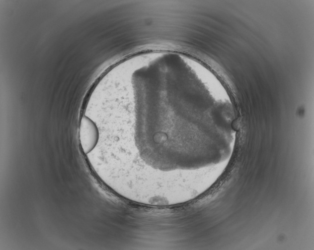 X0000116830845201001291641