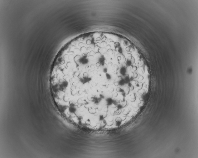 X0000116830846201001291641