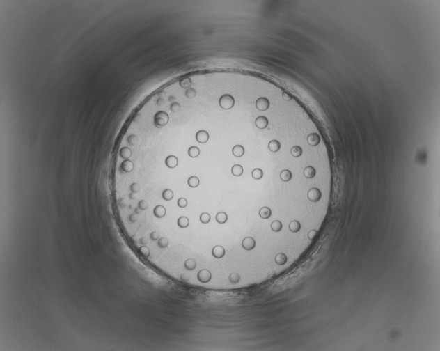 X0000116830847201001291641