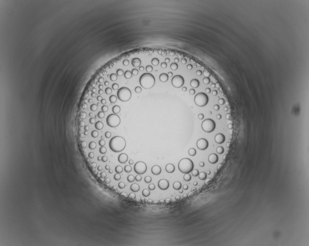 X0000116830848201001291641