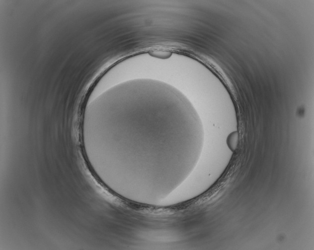 X0000116830851201001291641