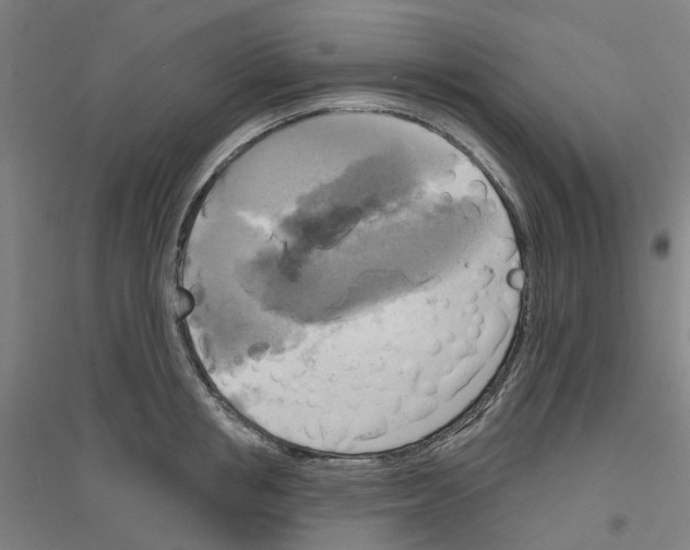 X0000116830853201001291641