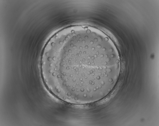 X0000116830855201001291641