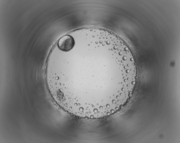 X0000116830856201001291641